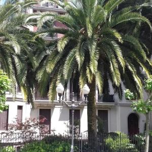Coqueto apartamento frente al Guggenheim