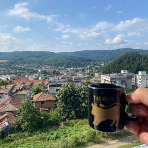 Апартамент Панорама Трявна - кът за отдих, въздухолечение и почивка