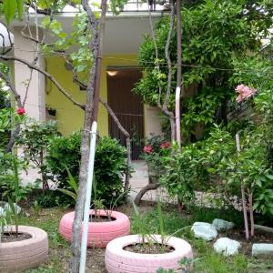Sonce - Tirana