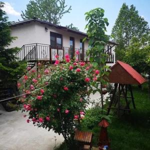 Casa TIBI și Nico