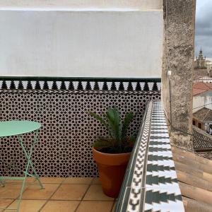 Apartamento Molino San Andrés