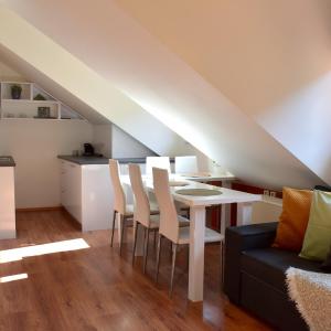 NEW CENTRAL ROOFTOP with private WELLNESS, Sauna & Whirlpool bath