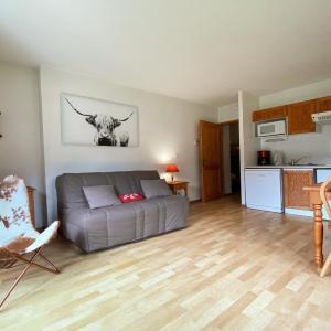 Studio à Samoëns avec piscines, sport, parking et animaux acceptés - FR-1-624-108