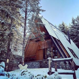 Forest House Stella - A frame cabin