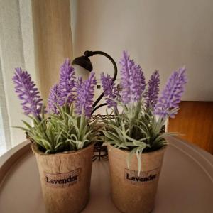 Levanda House