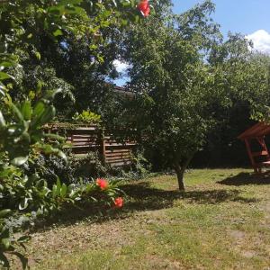 Rákos-patak Family House Garden & Free Parking
