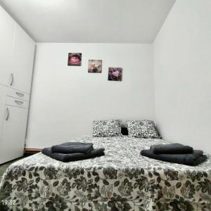 Lavanda Studio