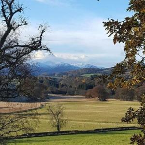 Birch Lodge, Pitlandie - Luxury 2 Bedroom Lodge with Sauna
