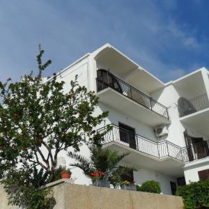 Apartments by the sea Tisno, Murter - 11289