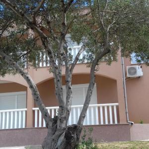 Apartments with parking space Okrug Gornji, Ciovo - 13859