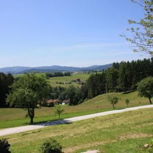 Idyllische Ferienwohnung in Viechtach in Waldnähe