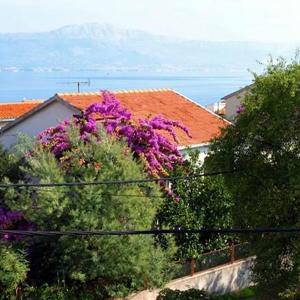 Apartments by the sea Arbanija, Ciovo - 6062