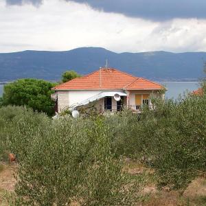 Apartment Arbanija 9423a