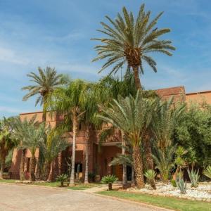 Mimouna Riads