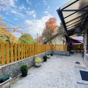 Apartment Carol private Yard with barbeque and parking