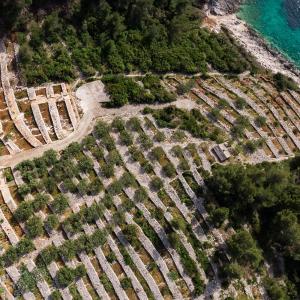 Seaside house for families with children Cove Zanavje, Korcula - 19224