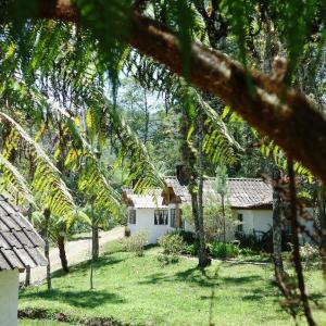Posada Montaña del Quetzal