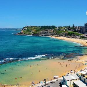 Arena Newcastle Beach