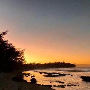 moorea temae bungalow lory bord de mer