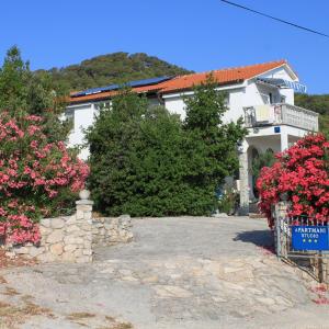 Apartments with parking space Preko, Ugljan - 8224