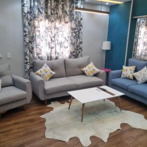 Elite apartment in Mohandessin