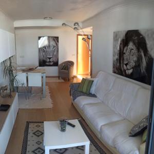 Ático con 2 grandes terrazas y 2 habitaciones