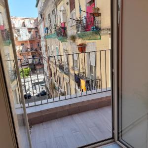IL VICOLETTO D'ORO