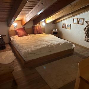 Dachwohnung mit Charme im Haus Luchre, Zermatt