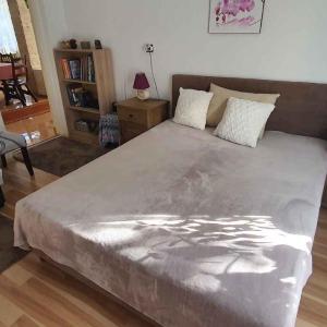 Holiday Homes in Siofok - Balaton 43405
