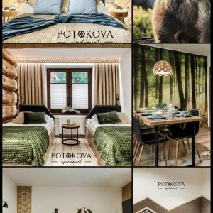 Potokova apartament Centrum