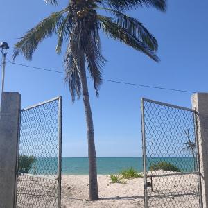 LA CHOZITA DEL MAR