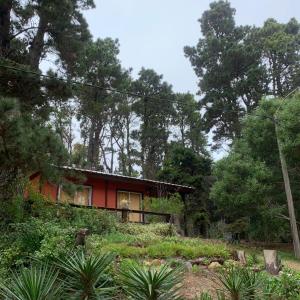 la casita del bosque