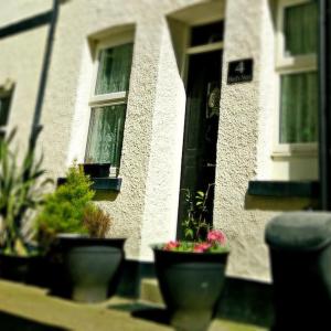 Birds Nest Cottage Looe