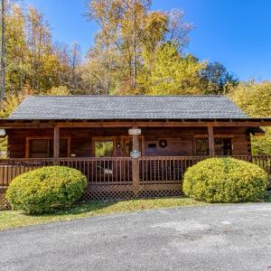 ER301 - Eagle's Hideaway - Great Location! Close To All The Action! cabin