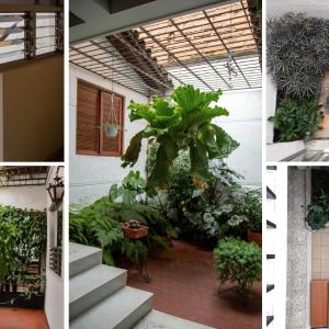 CASA DE LOLA