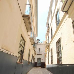 Acogedor estudio en el centro de Sevilla