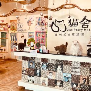 Cat Story Hotel