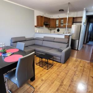 Apartament Skarbka