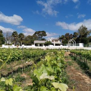 DuVon Farmhouse
