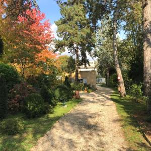 Studio fond de jardin