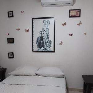 Casa Mariposas