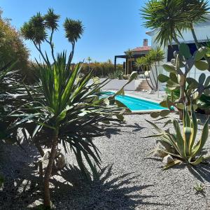 Yuccas House