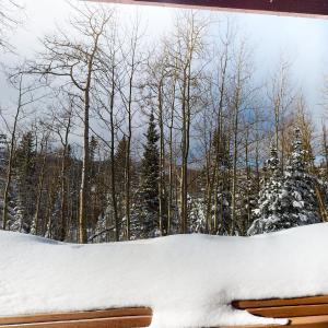 Alpine Condo #A5