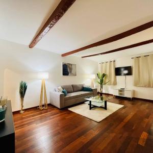 Vieux-Nice : 2 pièces type loft