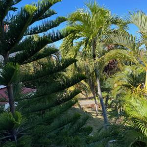 JARDIN SUR MER