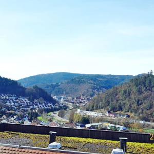 Apartment with panoramic views in the black forest