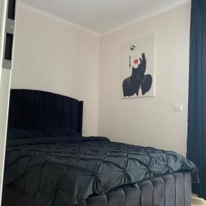 Apartament Timisoara 4
