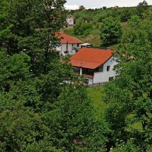 Villa River Pehchevo