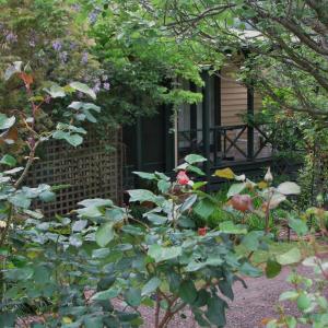 Leafield Cottages