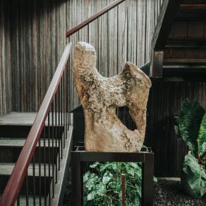 Sare Homestay and Artspace Sanur